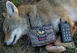 M1 Compact Digital Game Call