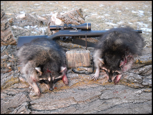 M1 Compact Digital Game Call